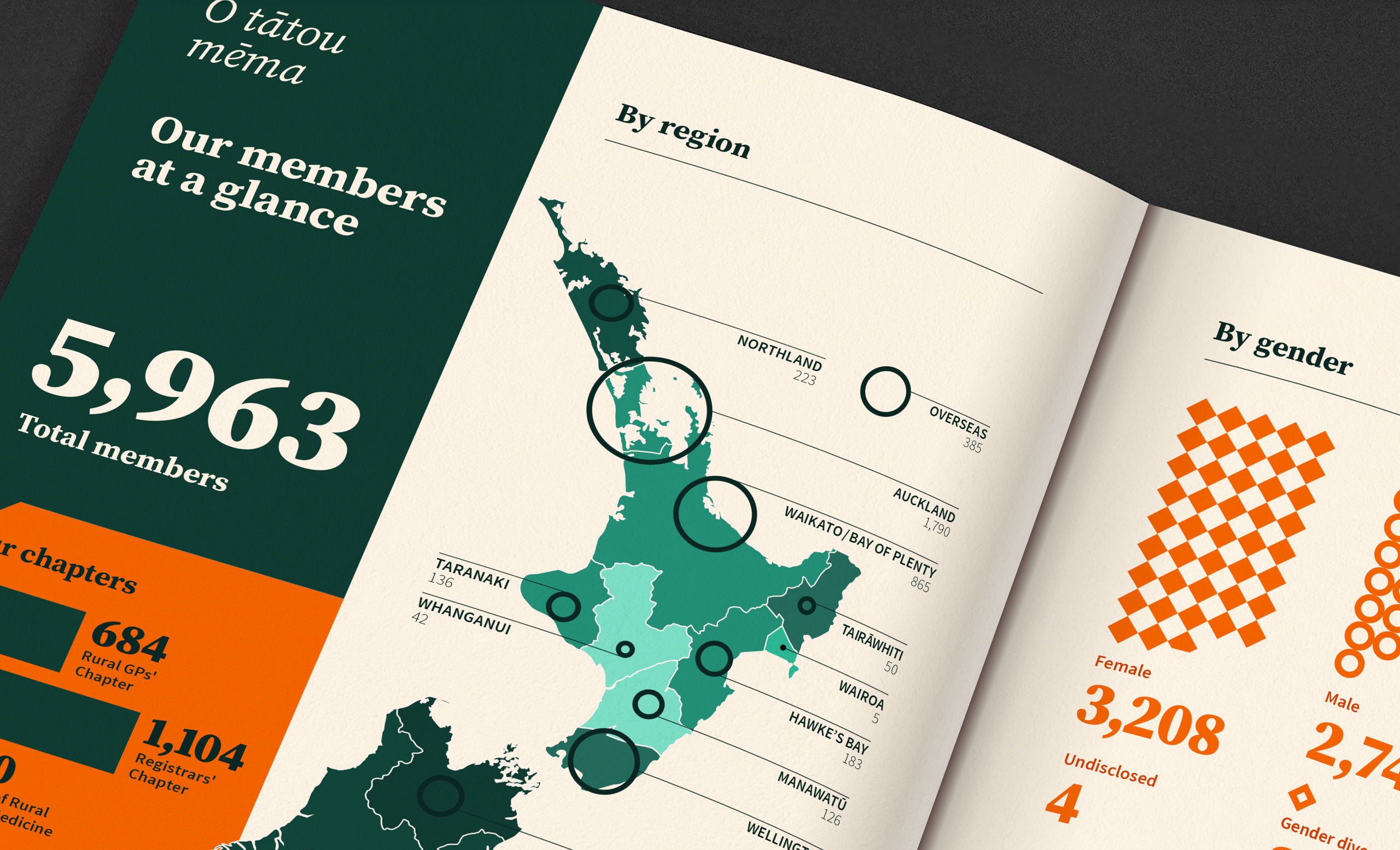 The Royal New Zealand College of General Practitioners Annual Report 2024